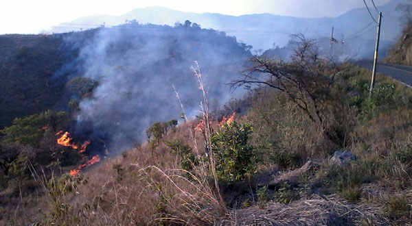 incendios mixteca