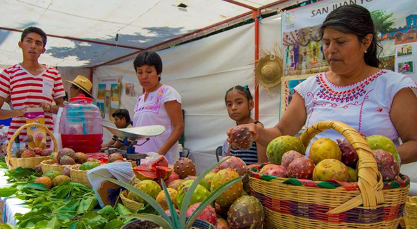 fortalecimiento economico3