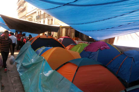 plantón zocalo 1