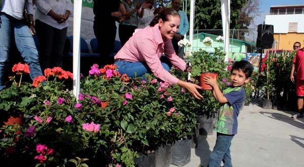 campaña reforestacion