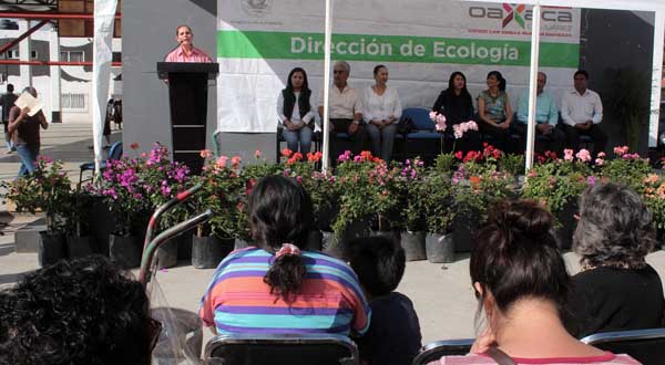 campaña reforestacion1