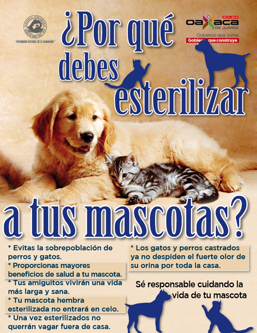 esterilizar