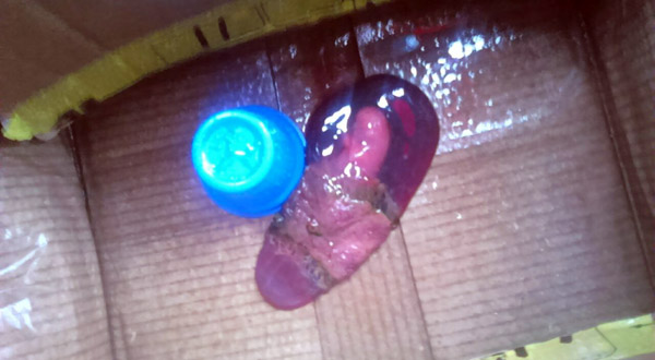feto caja