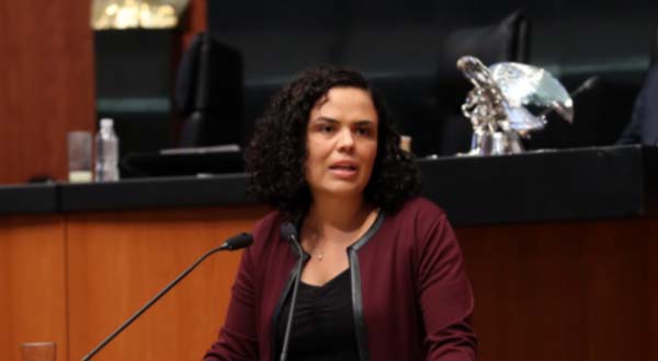 mariana-gómez-del-campo1