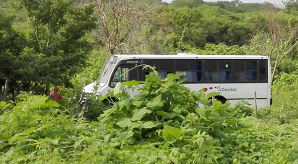 accidente coyul2