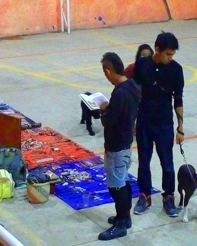 actividades-culturales2