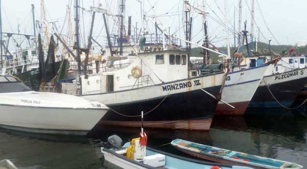pescadores-camaroneros1