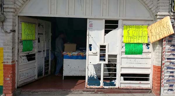 verificara-proteccion-civil